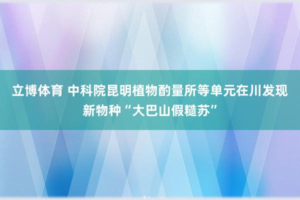 立博体育 中科院昆明植物酌量所等单元在川发现新物种“大巴山假糙苏”