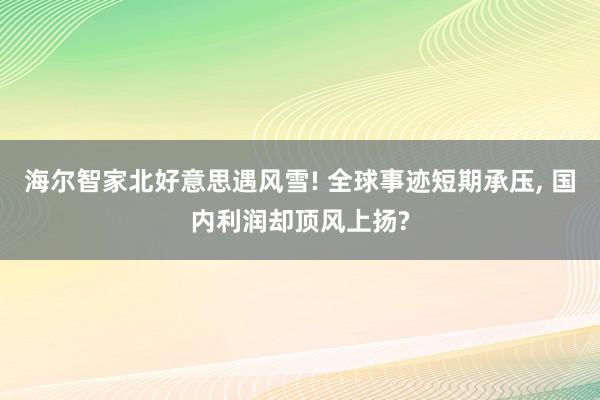 海尔智家北好意思遇风雪! 全球事迹短期承压， 国内利润却顶风上扬?