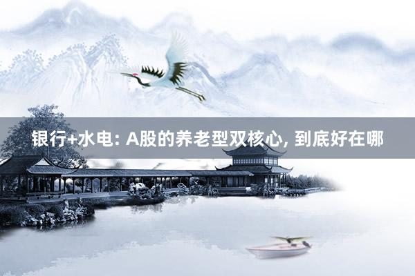 银行+水电: A股的养老型双核心， 到底好在哪