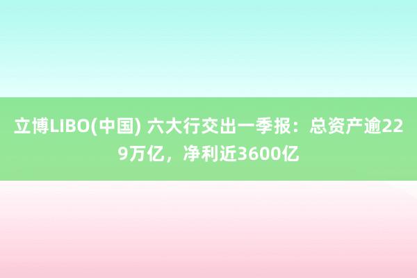 立博LIBO(中国) 六大行交出一季报：总资产逾229万亿，净利近3600亿