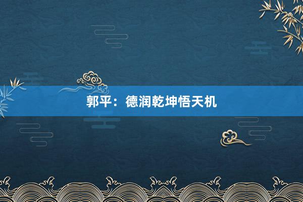 郭平：德润乾坤悟天机