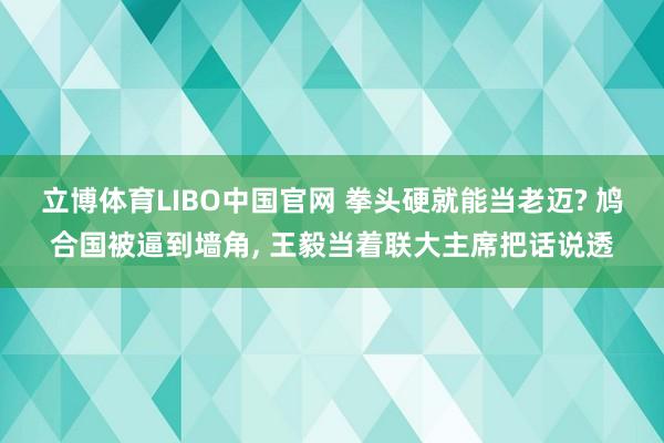 立博体育LIBO中国官网 拳头硬就能当老迈? 鸠合国被逼到墙角, 王毅当着联大主席把话说透
