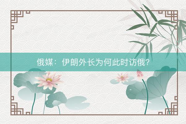 俄媒：伊朗外长为何此时访俄？