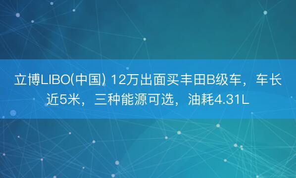 立博LIBO(中国) 12万出面买丰田B级车，车长近5米，三种能源可选，油耗4.31L